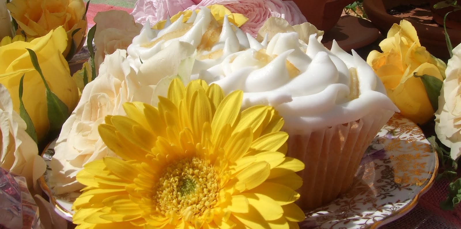 Cupcakes & Conversation